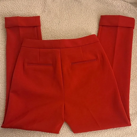 Ann Taylor Bold Burnt Sienna Pant - Picture 5 of 5